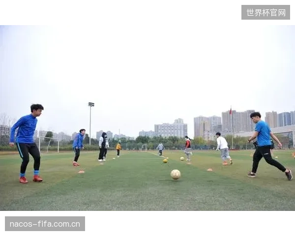 体育产业升级呼唤大量复合型人才，为何高校培养体系与市场需求之间仍存在难以逾越的鸿沟？